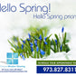 Hello Spring - Postcards - 8.5 x 11